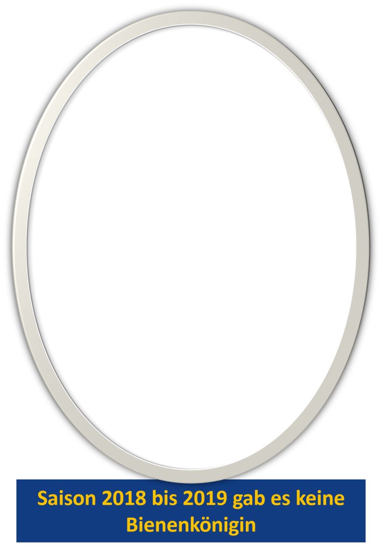 2018-2019